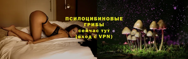 стафф Козельск