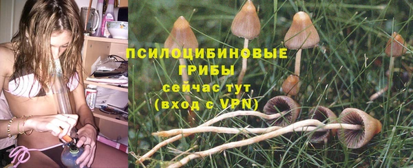 скорость mdpv Заводоуковск