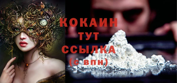 спиды Козловка