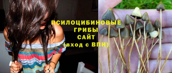 спиды Козловка