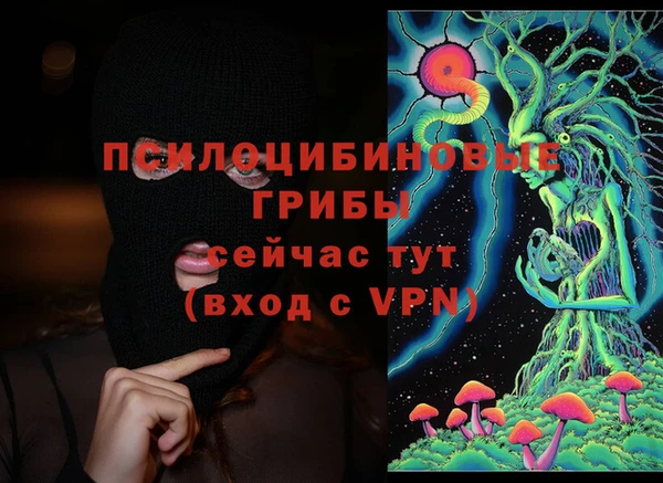 стафф Козельск