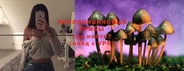 СК Заволжск