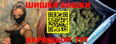 спиды Гай
