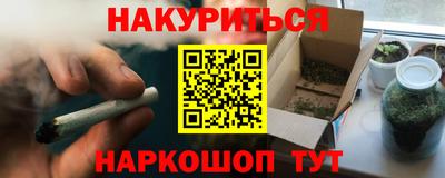 спиды Гай