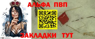 спиды Гай