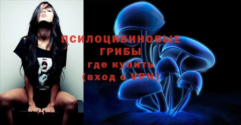 blacksprut вход  Нижнекамск  Псилоцибиновые грибы Psilocybine cubensis 