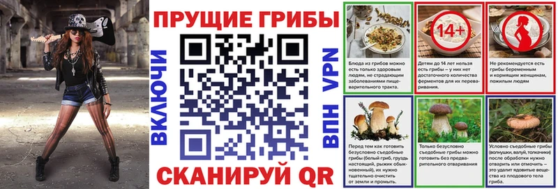 Псилоцибиновые грибы GOLDEN TEACHER  MEGA как войти  Нижнекамск 