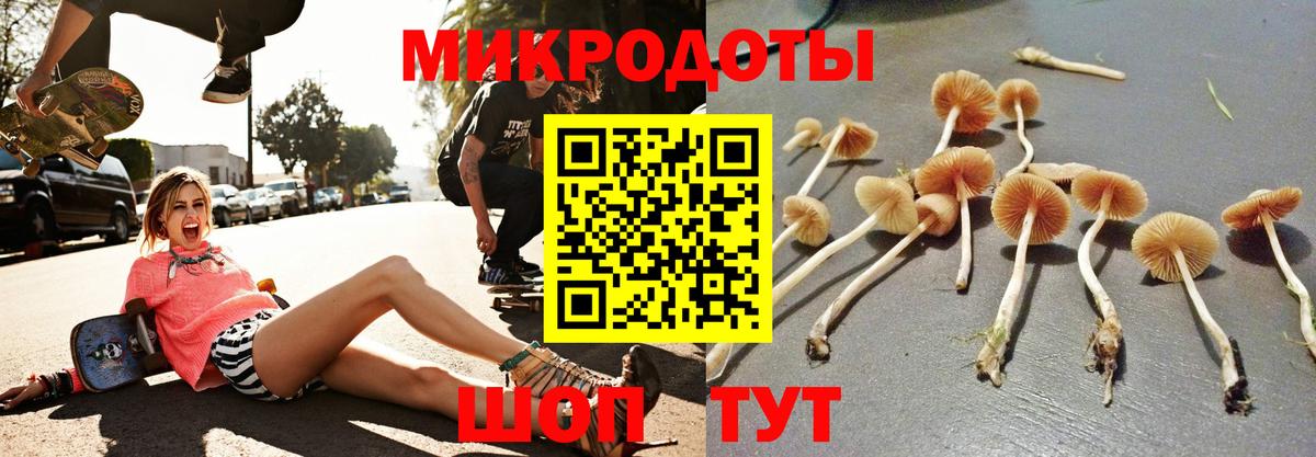 Нижнекамск  Псилоцибиновые грибы прущие грибы  Галлюциногенные грибы ЛСД  Вход с VPN 